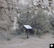 Interpretive sign. Photo by Dawn Ballou, Pinedale Online.