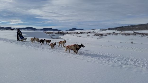 On the run. Photo by Terry Allen.