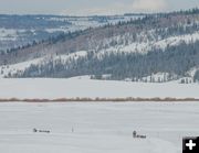 Sled dots. Photo by Chris Havener.