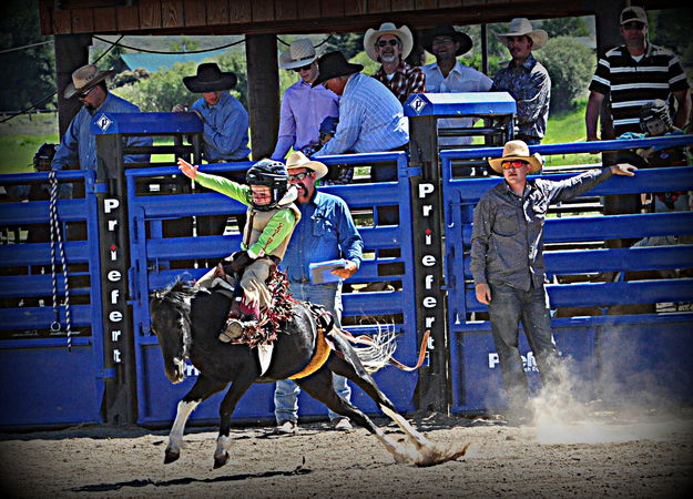 Nice Ride. Photo by Terry Allen.