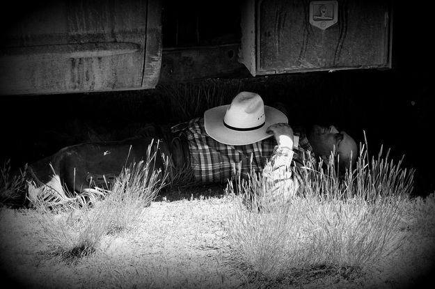 Resting up for Another Ride. Photo by Terry Allen.