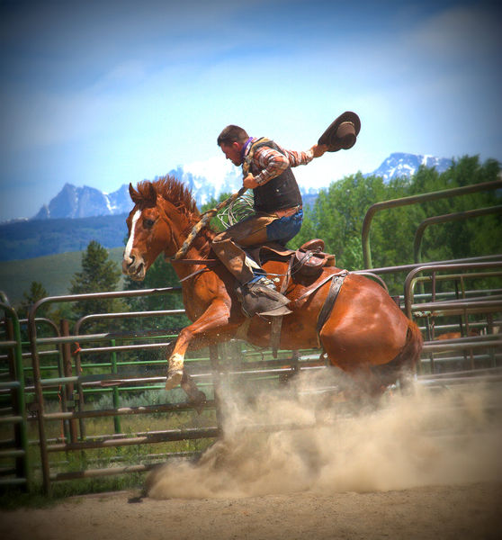 Yee Haw. Photo by Terry Allen.