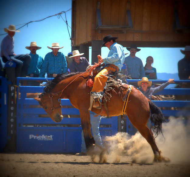 Big Jump. Photo by Terry Allen.