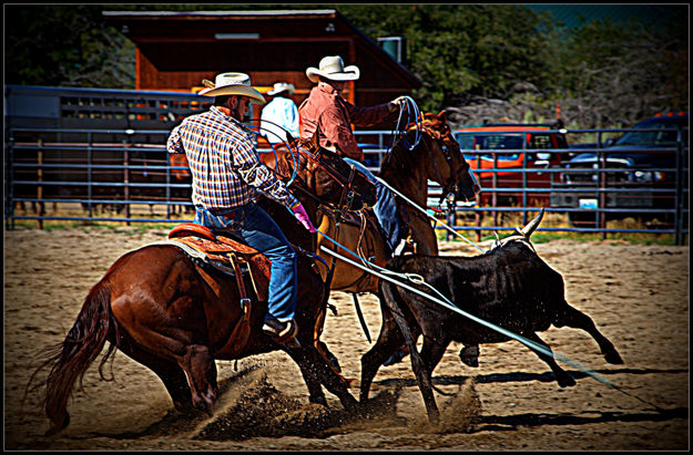 Team Stop. Photo by Terry Allen.