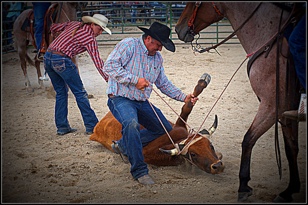 Ground Work. Photo by Terry Allen.