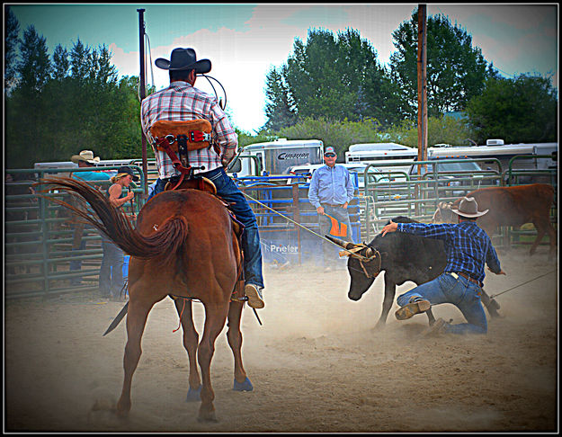 Gettin' it Done. Photo by Terry Allen.