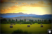 Bondurant Hay Field. Photo by Terry Allen.