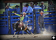 Nice Ride. Photo by Terry Allen.