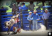 Bucked off. Photo by Terry Allen.