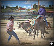 Makin' a Break for it. Photo by Terry Allen.