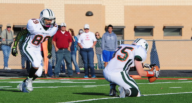 Kick. Photo by Terry Allen.