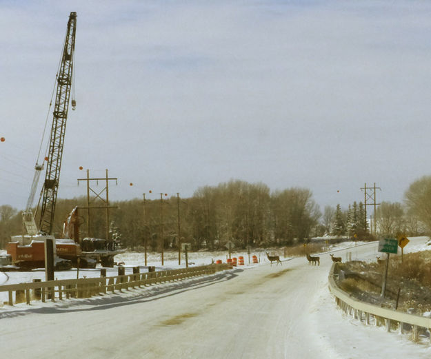 Bridges may be icy. Photo by Dawn Ballou, Pinedale Online.