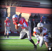 Touchdown Coming.... Photo by Terry Allen.