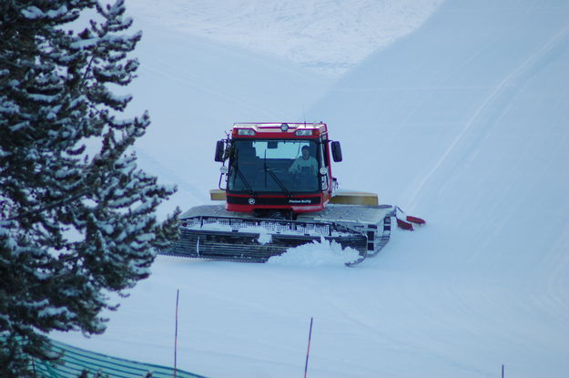 Grooming. Photo by White Pine Resort.