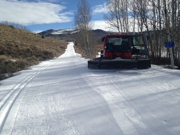 Groomer. Photo by Mike Looney.