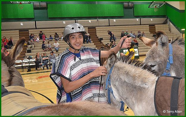 Alex and the Herd. Photo by Terry Allen.