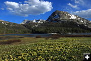 Big Sandy Lake. Photo by Fred Pflughoft.