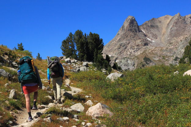 Near Pyramid Lake. Photo by Fred Pflughoft.