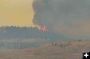 Burning trees. Photo by Dave Bell.