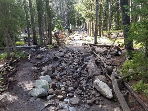 Trail work. Photo by Friends of the Bridger-Teton.