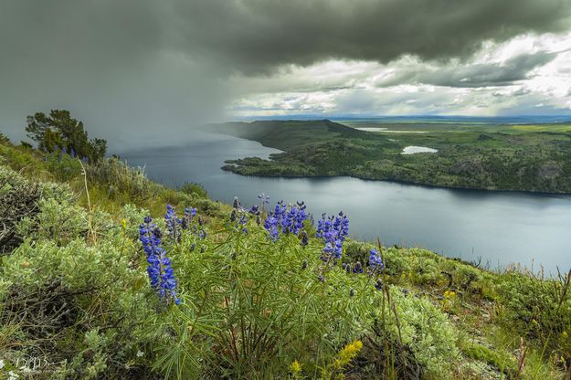 Fremont Lake Snow Squall. Photo by Dave Bell.