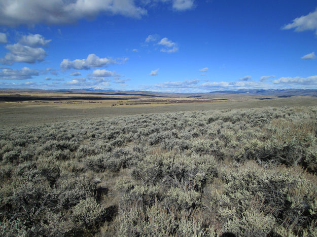 Bar Bar E Ranch. Photo by Jackson Hole Land Trust.