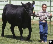 2006 Fair. Photo by Pinedale Online.