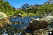 South Fork Boulder Creek. Photo by Dave Bell.