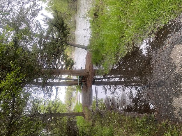 Pine Creek high water. Photo by Bob Rule, KPIN 101.1 FM Radio.