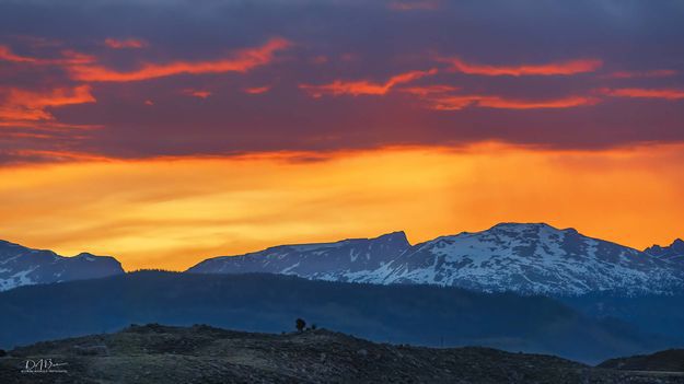 Morning Color. Photo by Dave Bell.