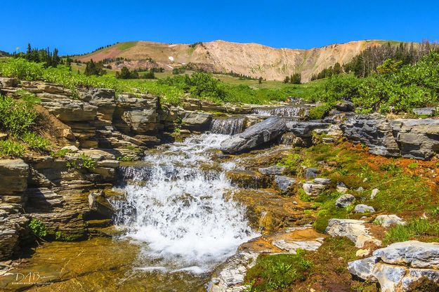 Beautiful stream. Photo by Dave Bell.