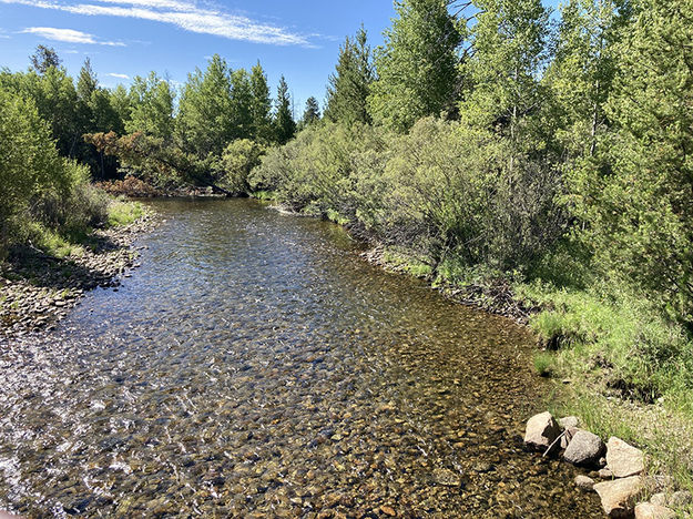 Pine Creek view downstream. Photo by Dawn Ballou, Pinedale Online.