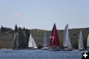 Sailboats. Photo by Mindi Crabb.