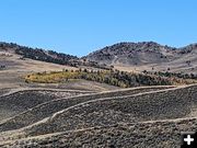 Vegetation diversity. Photo by Dan Stroud.