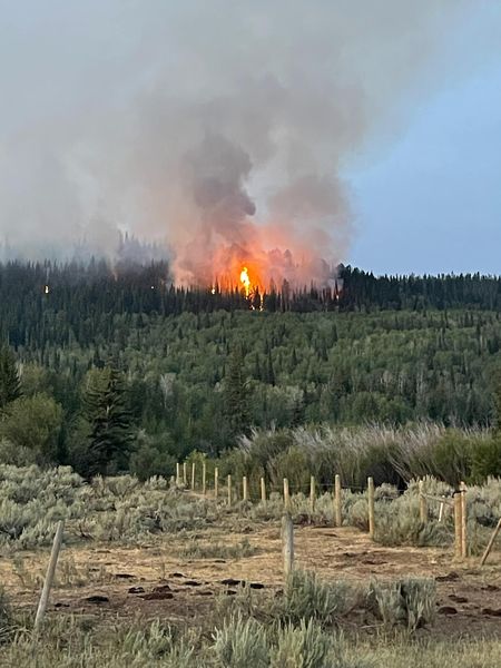 Merna Butte Fire Aug 10. Photo by .