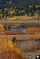 Fall colors. Photo by Tony Vitolo.