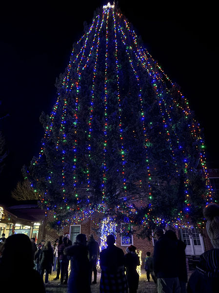 Tree lighting. Photo by Pinedale Online.