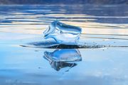 Icy Crystals. Photo by Dave Bell.