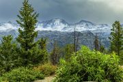 Summer Green And Winter White. Photo by Dave Bell.