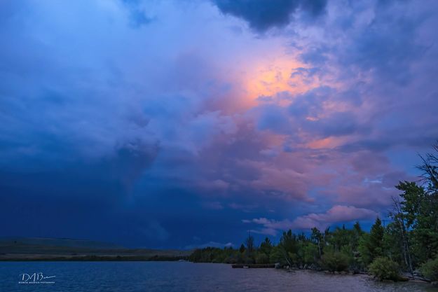 Light From Within. Photo by Dave Bell.