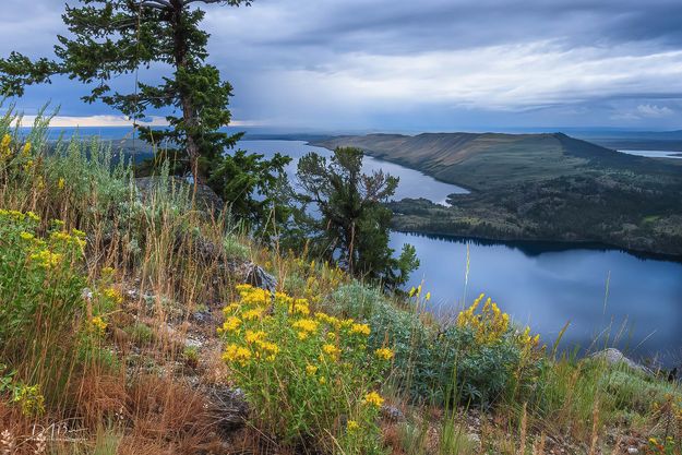 Blue and Yellow. Photo by Dave Bell.