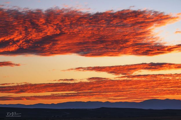 Fiery Sunset Color. Photo by Dave Bell.