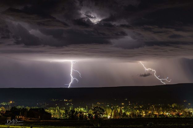 Split Personality. Photo by Dave Bell.