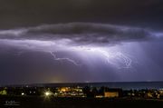 Cluster. Photo by Dave Bell.