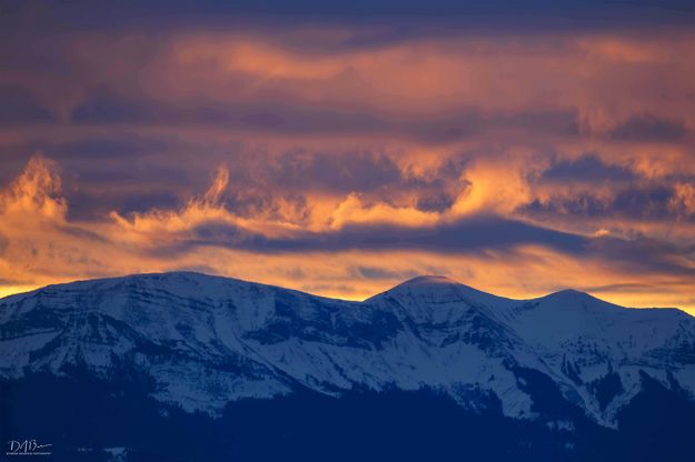 Triple Color. Photo by Dave Bell.