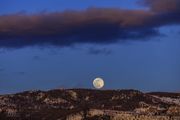 Cresting The Ridge. Photo by Dave Bell.