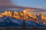 Morning Glow. Photo by Dave Bell.