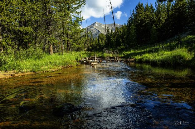 Palmer Creek And Mt. Nystrom. Photo by Dave Bell.