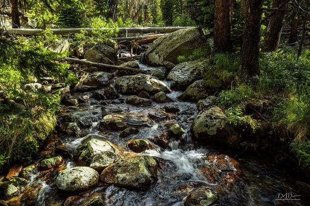 Beautiful Tumbling Stream. Photo by Dave Bell.