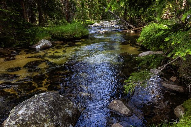 Sweetwater River. Photo by Dave Bell.